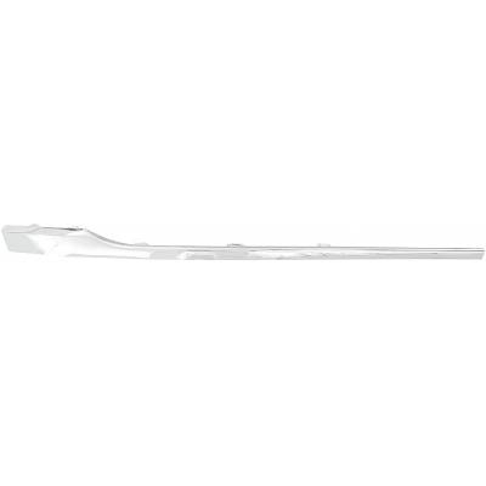 DIEDERICHS Friso de para-choques 2249162 DIEDERICHS 2249162 Friso de para-choques