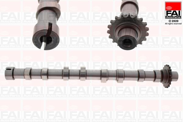 Nukkvõll FAI AutoParts C420 FAI AutoParts C420 Nukkvõllikomplekt TOYOTA RAV 4 2012