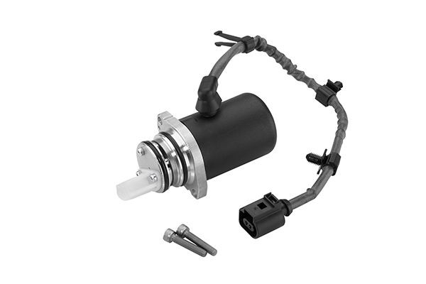 BorgWarner Pump, täisveoga sõiduki mitme kettaga sidur DS118613 BorgWarner DS118613 Remondikomplekt, differentsiaal Renault KADJAR odav