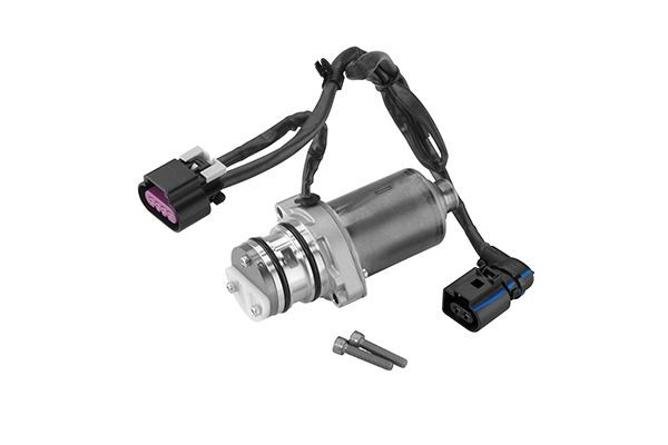 BorgWarner Bomba, tracção total da embr. de múltiplos discos DS2004444 Kit de reparação, diferencial BorgWarner LOGAN DS2004444 baratos