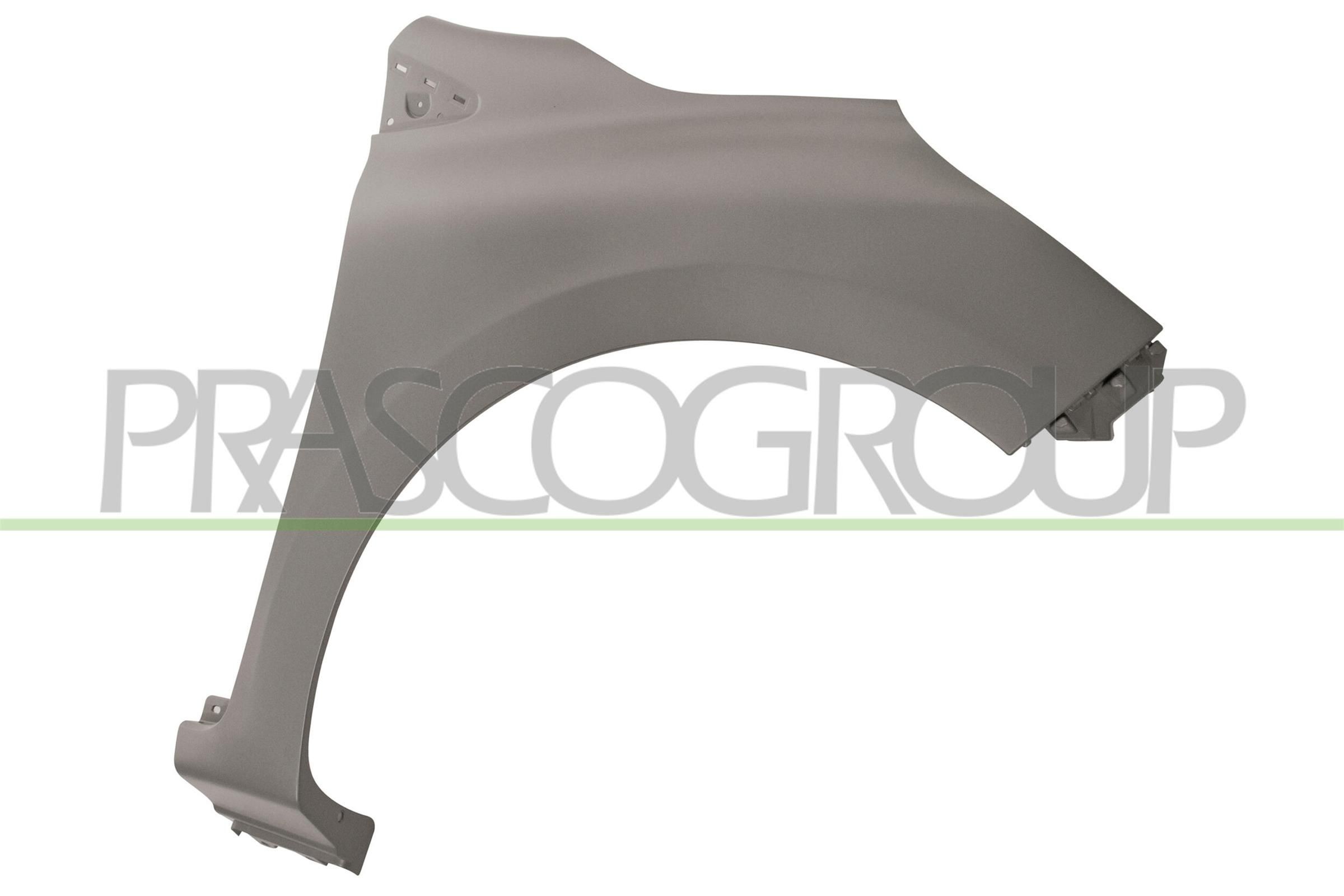 PRASCO Spatbord RN3293013 RN3293013 Voorscherm en achterscherm RENAULT LAGUNA PRASCO