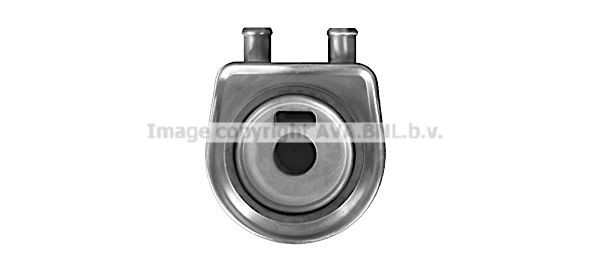 Eļļas radiators, Motoreļļa PRASCO RT3649 PRASCO RT3649 Eļļas radiators Renault SCÉNIC 2002