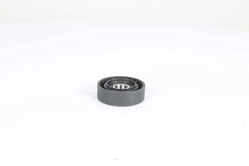 BSG Vratná / vodiaca kladka rebrovaného klinového remeňa BSG 25-615-002 BSG 25-615-002 Vodiaca kladka BSG NISSAN QASHQAI