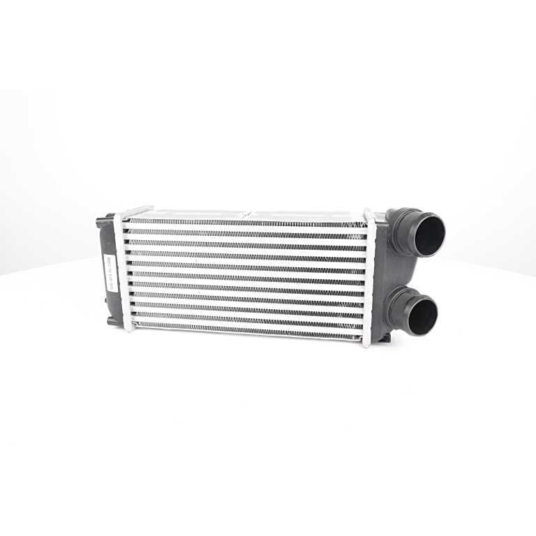 BSG Intercooler BSG 70-535-005 Intercooler BSG 407 BSG 70-535-005 baratos