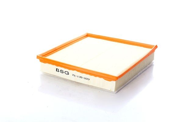 BSG Filtro aria BSG 75-135-020 BSG 75-135-020 Filtro aria BSG NISSAN PULSAR costo