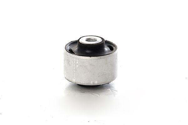 BSG Feste, styrestag BSG 90-700-222 Foring bærearm BSG Audi A2 BSG 90-700-222