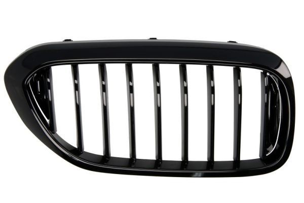 BLIC Griglia radiatore 6502-07-0068992P BLIC 6502-07-0068992P Griglia radiatore BMW 5 Touring (G31) 520 d 190 CV 2020