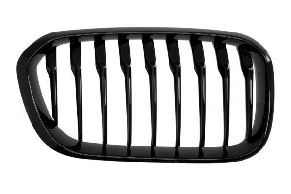 BLIC Griglia radiatore 6502-07-0086998P BLIC 6502-07-0086998P Griglia radiatore BMW 1 Hatchback (F21) 120 d 190 CV 2019