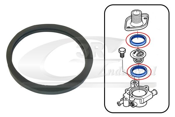 3RG Guarnizione, Termostato 82642 3RG 82642 Guarnizione di tenuta acqua raffreddamento Renault Megane LA prezzo