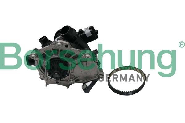 Waterpomp Borsehung B19205 Borsehung B19205: Koelvloeistofpomp Audi TT 2015