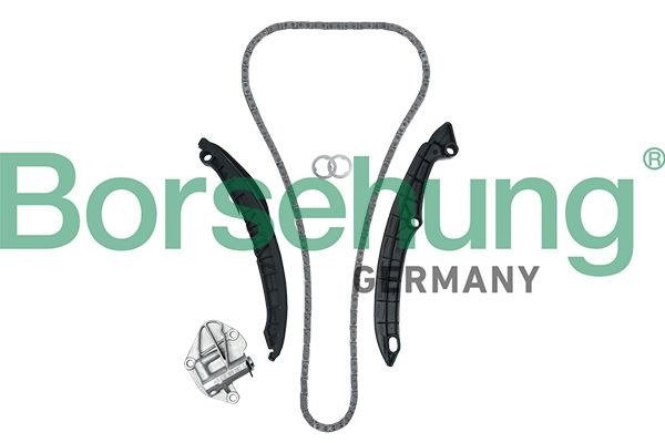 Borsehung Mootori keti komplekt B19229 Mootori keti komplekt Borsehung 850 B19229 odav