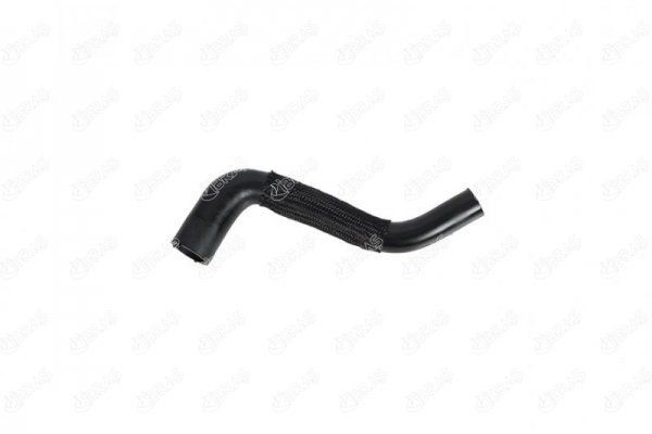 IBRAS Eļļas šļūtene 17610 Trailing arm Citroën N2 17610 IBRAS