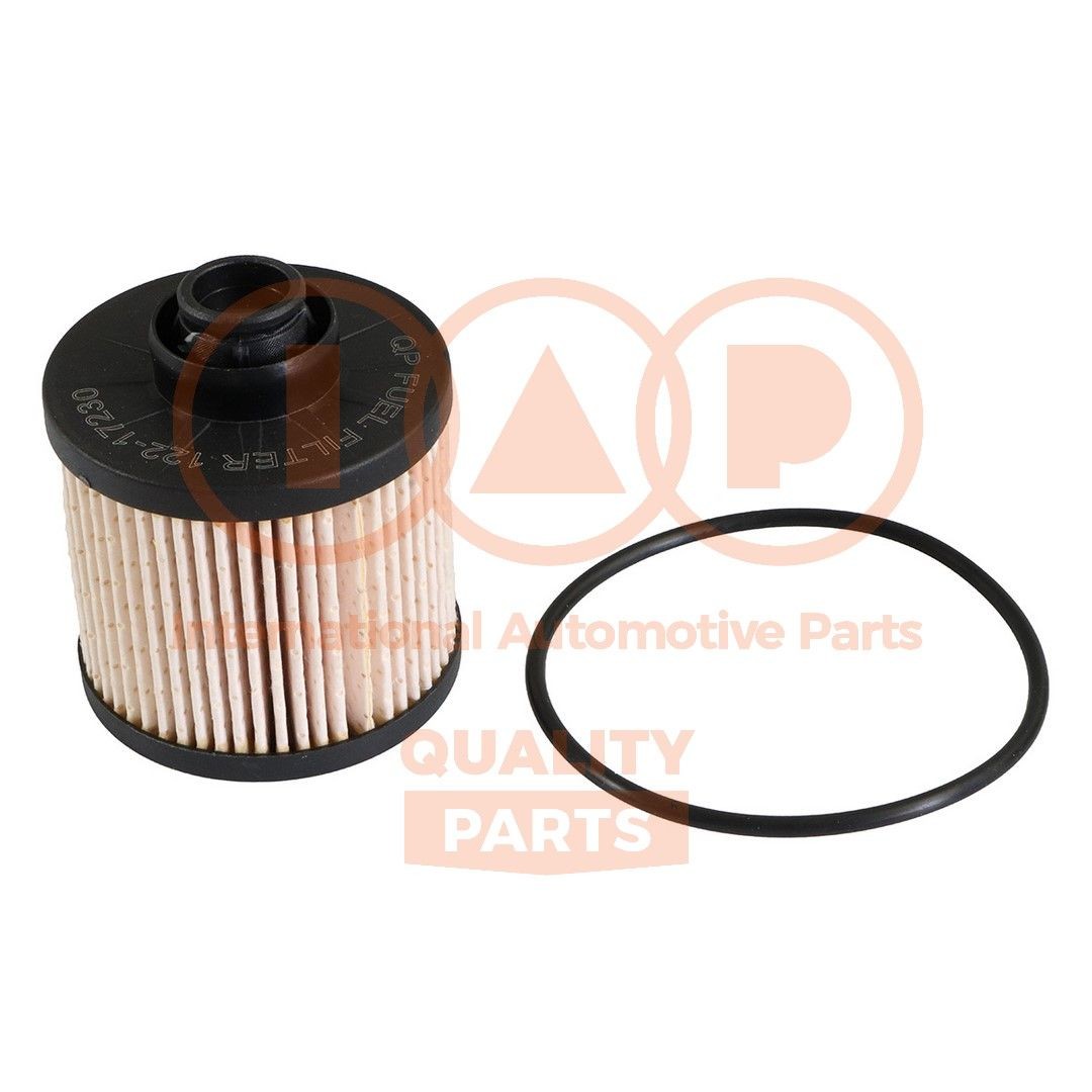 IAP QUALITY PARTS Brandstoffilter 122-17230 Peugeot 405 Brandstoffilters IAP QUALITY PARTS 122-17230