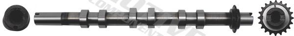 motive Arbre à came T6554 Kit arbre à cames motive LAND ROVER T6554