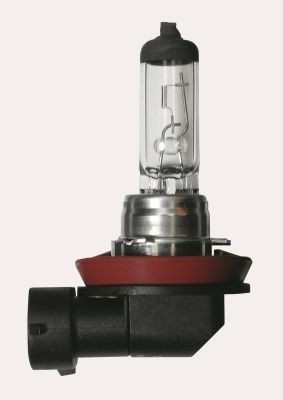 HELLA Lampadina, faro di profondità 8GH 178 555-151 8GH 178 555-151 Lampadina fendinebbia HELLA SUZUKI SX4 costo