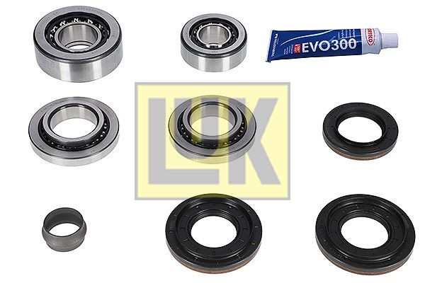 LuK Reparatieset, differentieel 462 0215 10 Reparatieset, differentieel LuK 124-serie 462 0215 10 goedkoop