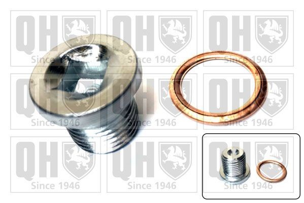 Sealing Plug, oil sump QUINTON HAZELL QOC1003 QUINTON HAZELL QOC1003 2019 RENAULT KOLEOS sump plug replacement