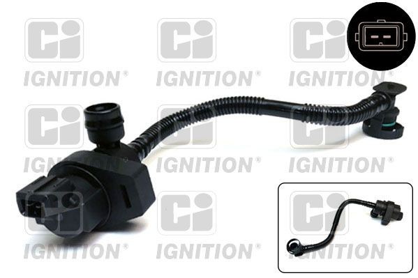 QUINTON HAZELL Lufte- / luftinnslippingsventil, drivstofftank XELV141 Lufte- / luftinnslippingsventil, drivstofftank QUINTON HAZELL Kia CARENS XELV141