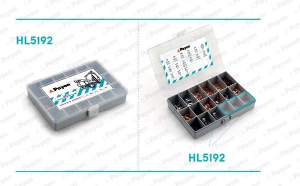 PAYEN Valik, õli väljalaskekruvid HL5192 PAYEN HL5192 Rõngastihend õli äravoolukruvi ML W163 hind