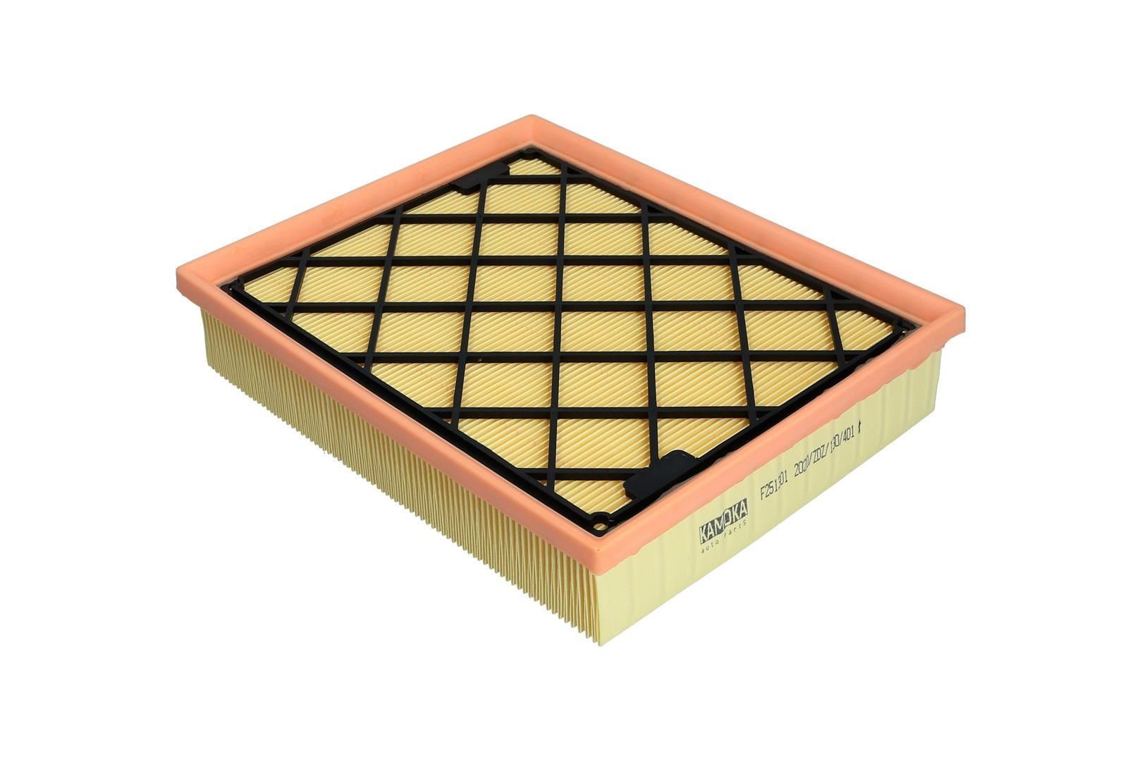 KAMOKA Õhufilter F251301 KAMOKA F251301 Filter Crown Victoria I (EN53)