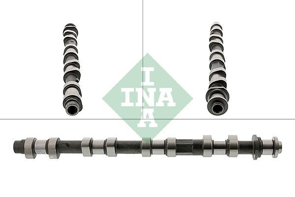 Nokkenas INA 428 0196 10 INA 428 0196 10: Nokkenas van de motor Land Rover RANGE ROVER EVOQUE 2014