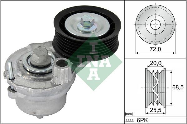 INA Braccio tenditore, Cinghia Poly-V 534 0703 10 INA 534 0703 10 Tenditore cinghia servizi Chevrolet Captiva Sport prezzo