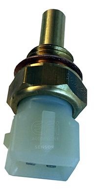 EFI AUTOMOTIVE Sensor, kylmedietemperatur 295003 295003 EFI AUTOMOTIVE kylvätsketemperaturgivare Seat IBIZA