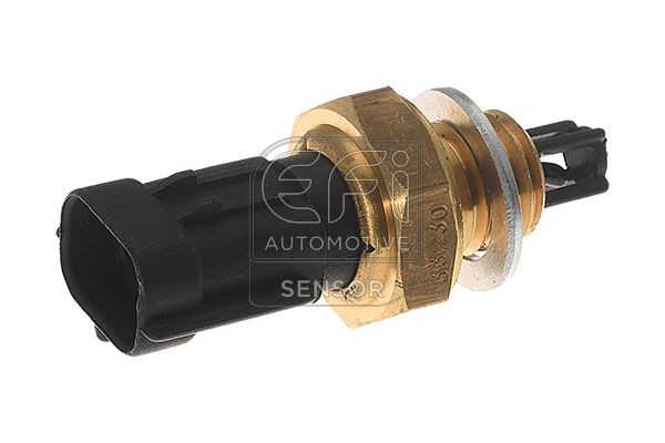 EFI AUTOMOTIVE Snímač teploty nasávaného vzduchu 295048 295048 EFI AUTOMOTIVE Snímač teploty nasávaného vzduchu Hyundai lacné