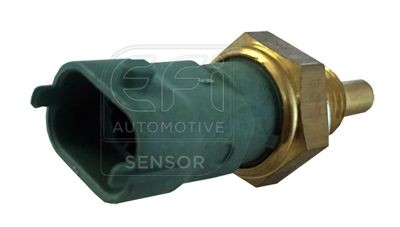 EFI AUTOMOTIVE Olietemperatur føler 295054 Olietemperatur føler EFI AUTOMOTIVE Kia PROCEED 295054