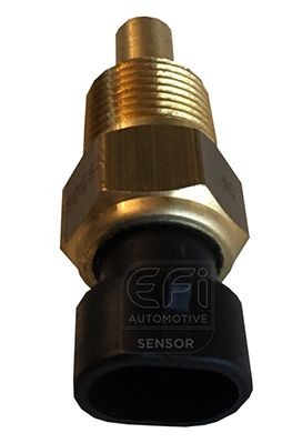 EFI AUTOMOTIVE Olietemperatur føler 295069 Olietemperatur føler EFI AUTOMOTIVE PROCEED 295069 billig