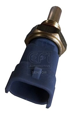 EFI AUTOMOTIVE Αισθητήρας, θερμοκρασία λαδιού 295097 295097 Αισθητήρας θερμοκρασίας λαδιού KIA PROCEED EFI AUTOMOTIVE