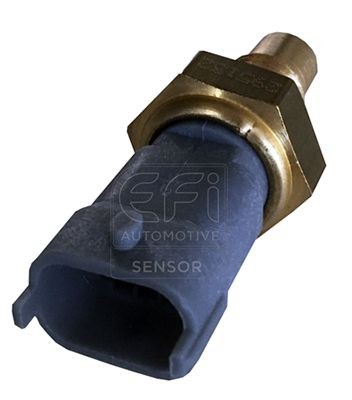 EFI AUTOMOTIVE Sensor, motortemperatur 295132 Kjølevæsketemperatursensor EFI AUTOMOTIVE INSIGNIA 295132 billige