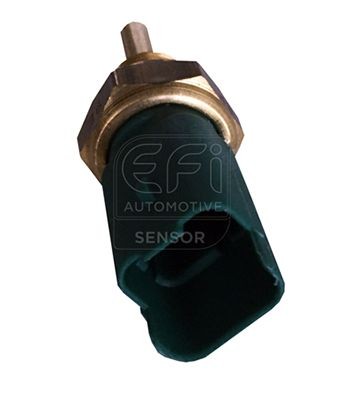 EFI AUTOMOTIVE Sensor, motortemperatur 295139 Kjølevæsketemperatursensor EFI AUTOMOTIVE INSIGNIA 295139 billige