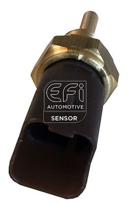 EFI AUTOMOTIVE Snímač teploty chladiacej kvapaliny 295141 Snímač teploty EFI AUTOMOTIVE Ford KA 295141
