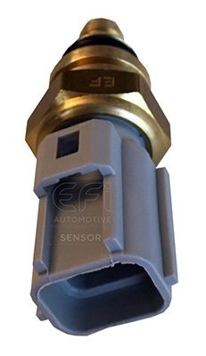EFI AUTOMOTIVE Sensore, Temperatura refrigerante 295157 Costo Sensore di temperatura acqua EFI AUTOMOTIVE VOLVO 295157