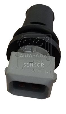 EFI AUTOMOTIVE Sensor, temperatura do ar de admissão 295196 Sensor temperatura do ar de admissão EFI AUTOMOTIVE SCÉNIC 295196 baratos