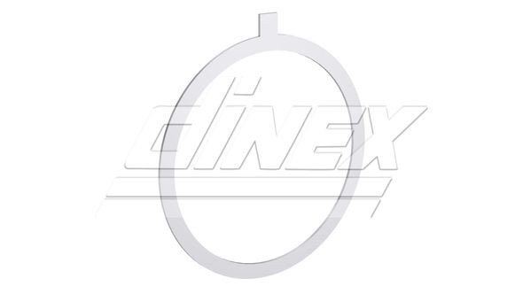 DINEX Guarnizione, Tubo gas scarico 8AL001 8AL001 costo Guarnizione scarico DINEX FORD USA FUSION