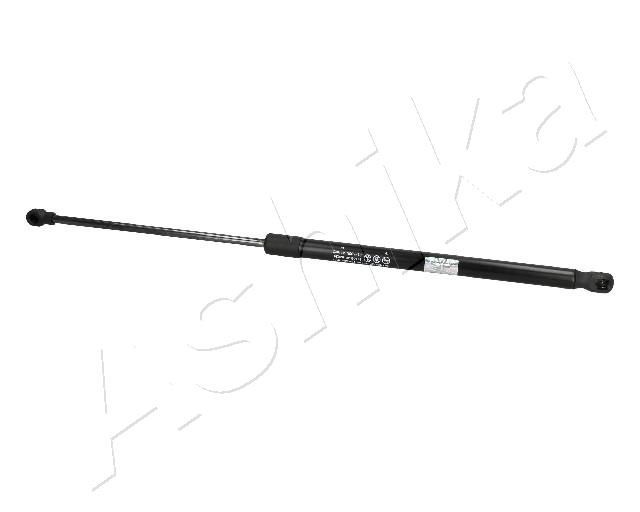 ASHIKA Ammortizatore pneumatico, Cofano bagagli / vano carico ZSA03024 ZSA03024 Pistoni portellone FORD KUGA ASHIKA costo