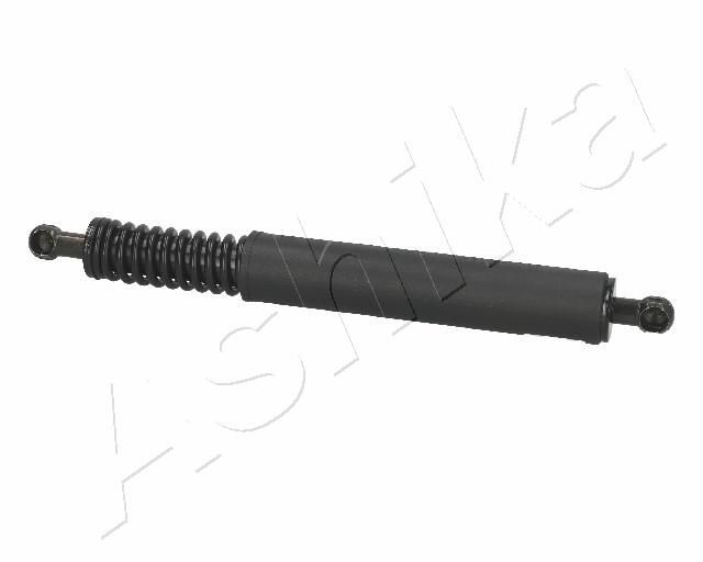 ASHIKA Tailgate strut ZSA09191 ASHIKA ZSA09191 CITROЁN DS3 tailgate strut replacement