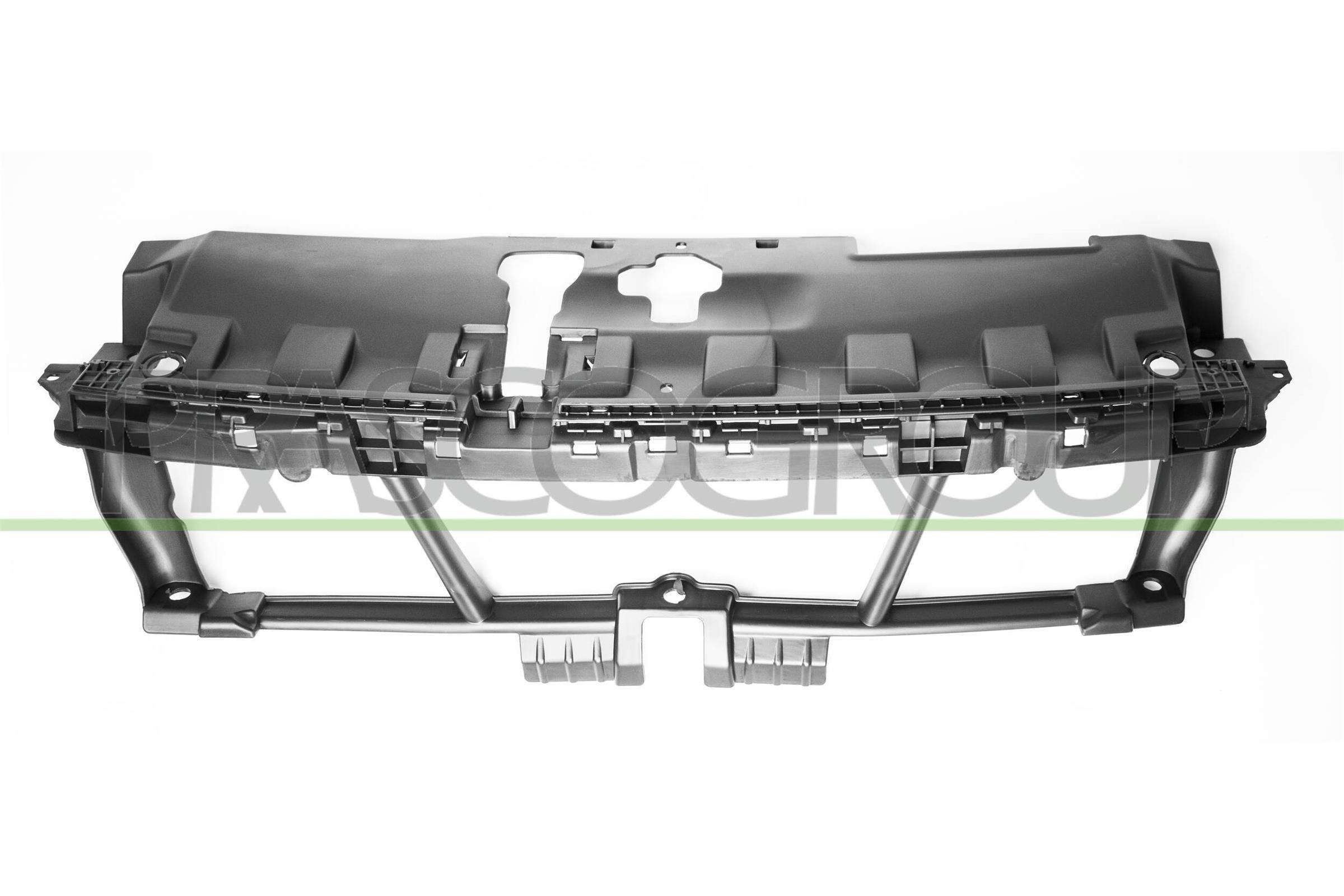 PRASCO Houder, radiateurgrille PG4302105 PG4302105 Grill PEUGEOT RCZ PRASCO