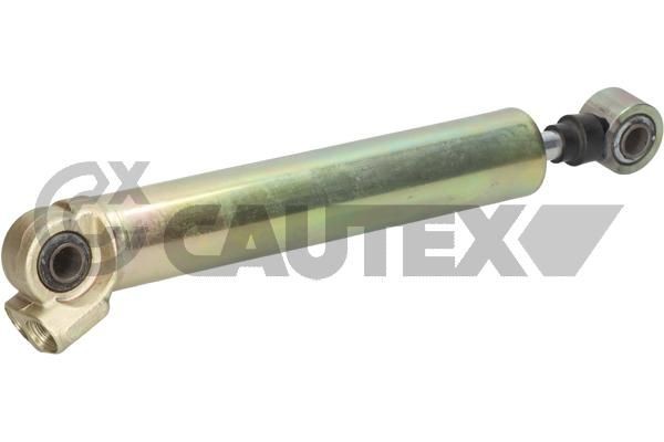 CAUTEX Arbeitszylinder, Servolenkung 031708 031708 Lenkungsdämpfer PEUGEOT 306 CAUTEX kaufen