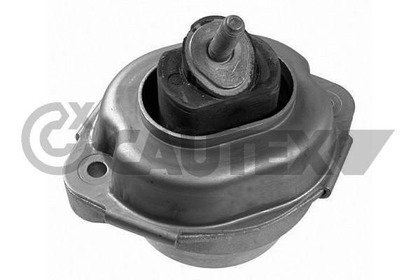 CAUTEX Piekare, Dzinējs 201643 201643 Motora spilvens CAUTEX BMW 1. Sērija
