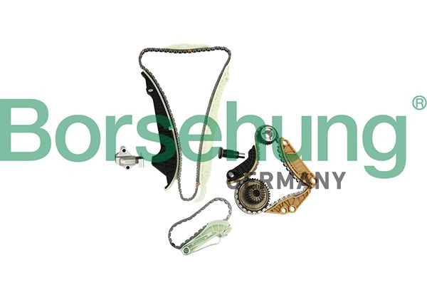 Borsehung Distributiekettingset B19254 Volvo 140 Distributieketting Borsehung B19254