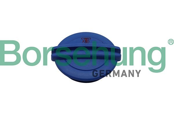 Borsehung Verschlußdeckel, Kühlmittelbehälter B19281 B19281 Borsehung Verschlußdeckel Kühlmittelbehälter VW Passat B6 Variant Kosten