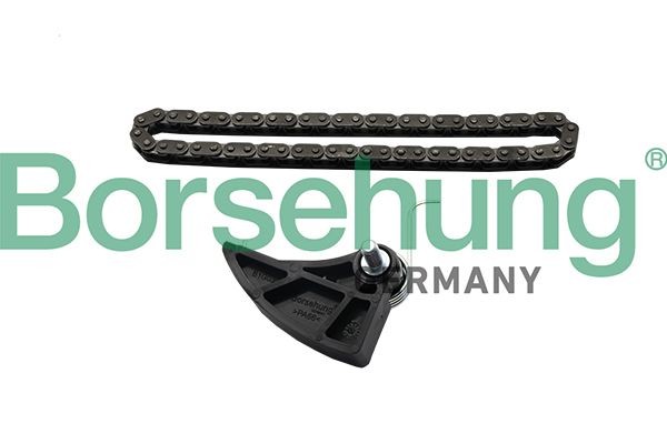 Borsehung Kjedesett, oljepumpemotor B19287 Drivkjede Borsehung PICK UP B19287 billige