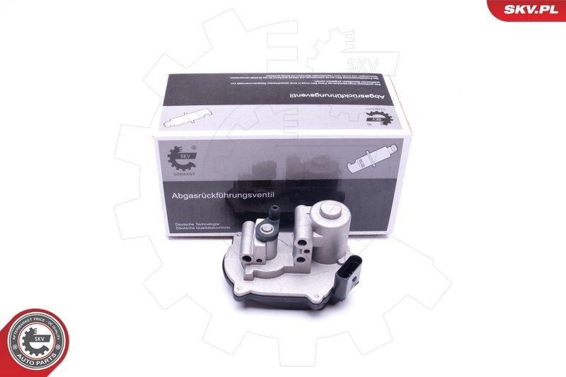 ESEN SKV Servomotor, drosselklap (indsugning) 96SKV041 Kontrolventil, luftindtag ESEN SKV Skoda OCTAVIA 96SKV041