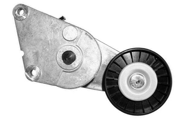 GOOM Tenditore cinghia servizi BT-0013 BT-0013 GOOM Tenditore cinghia servizi LANCIA prezzo