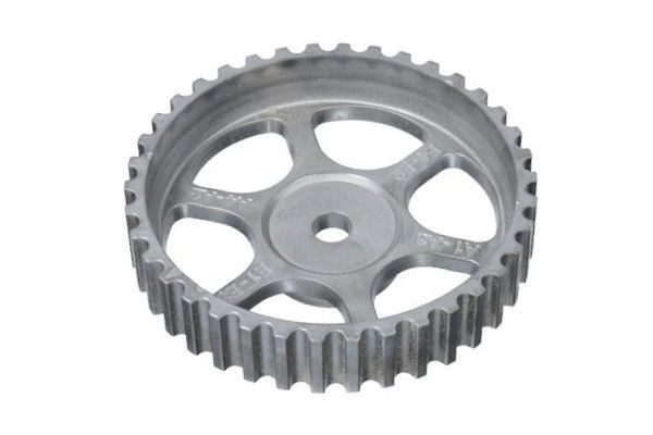 GOOM Gear, camshaft CG-0005 Renault SCÉNIC GOOM gear, camshaft CG0005