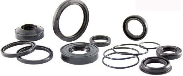 RMS Jeu de joints d'étanchéité, pompe à eau 10 064 1080 10 064 1080 Joint d'eau de refroidissement FORD FOCUS RMS