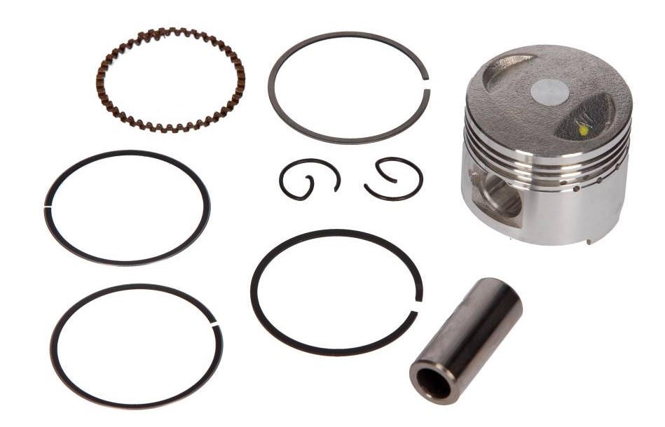 RMS Stempel 10 009 0381 Motor stempel RMS PASSAT 10 009 0381 billig